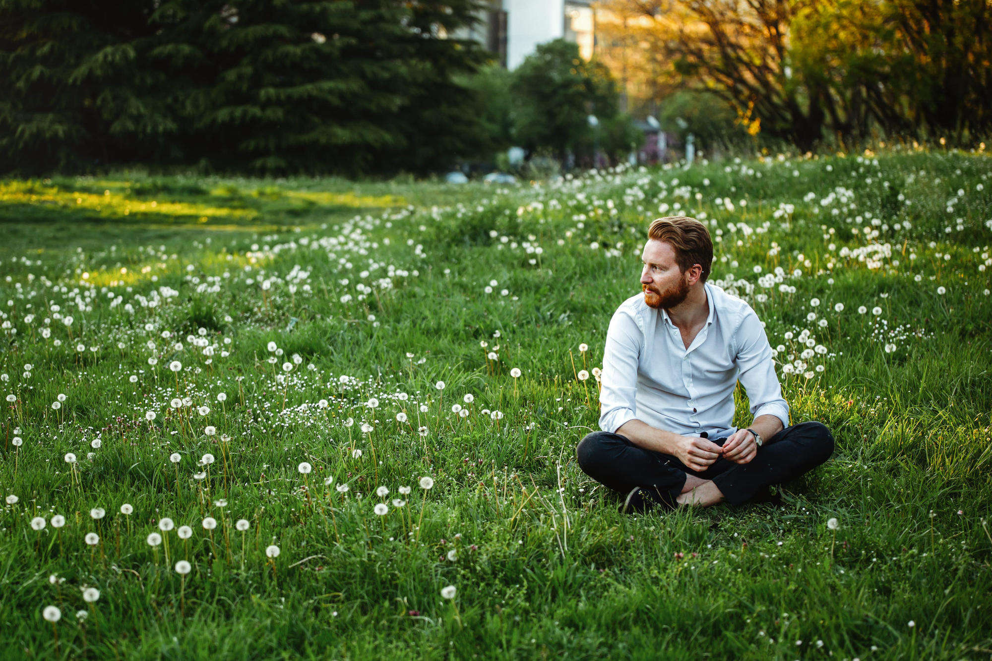 Bearded man sitting cross-legged in a green field of white flowers