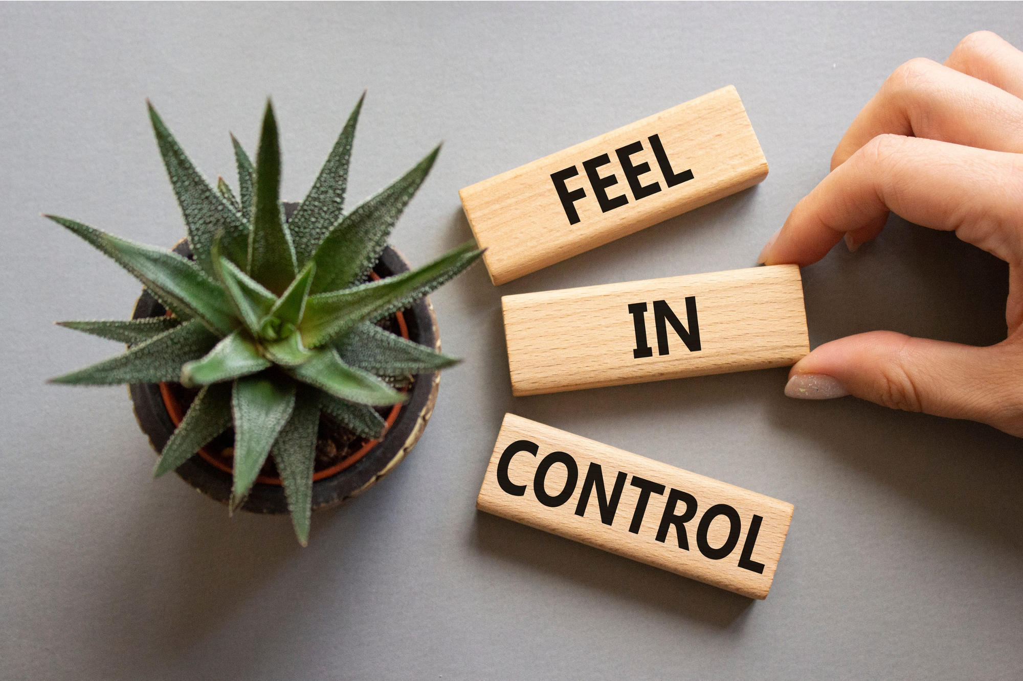 Feel in control symbol with wooden blocks on gray background